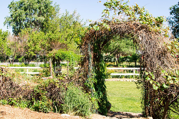 caddymay2021_36