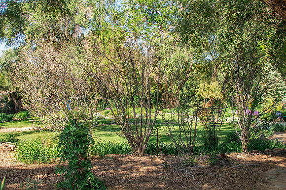 caddymay2021_73