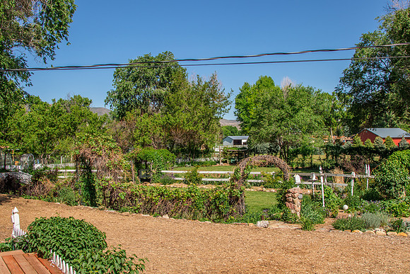 caddymay2021_77