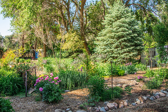 caddymay2021_83