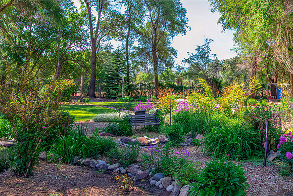 caddypano3may2021