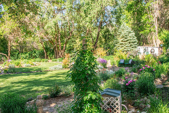caddymay2021_74