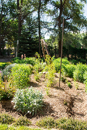 caddymay2021_57