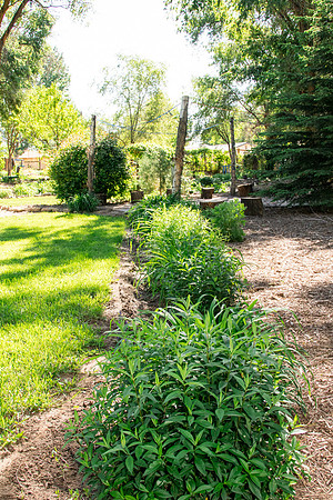 caddymay2021_60