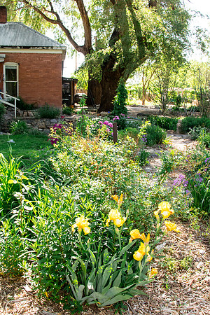caddymay2021_46