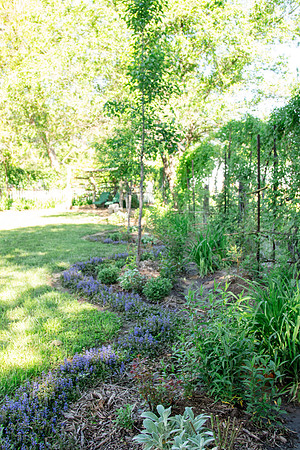 caddymay2021_14