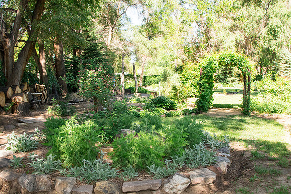 caddymay2021_66