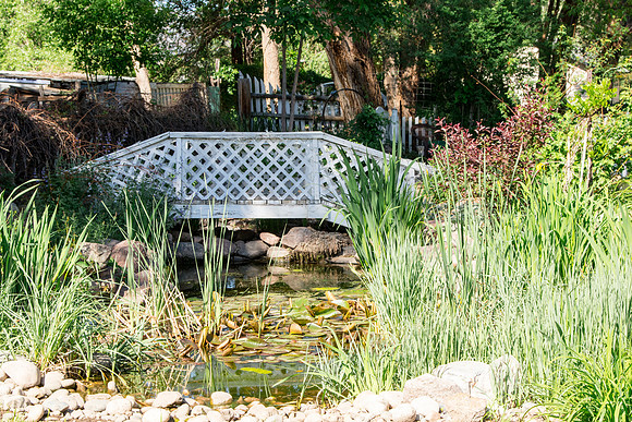 caddymay2021_33