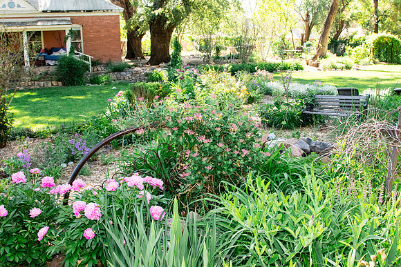 caddymay2021_41