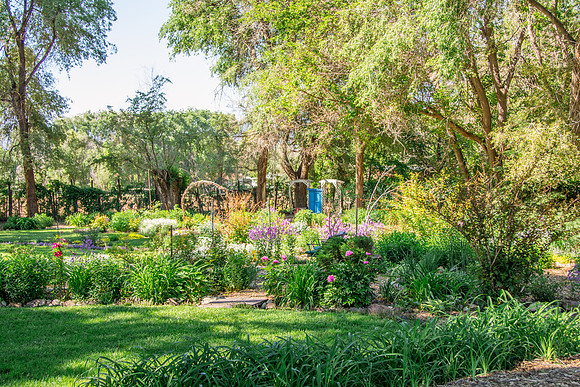 caddymay2021_80
