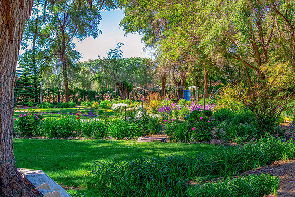 caddypano2may2021