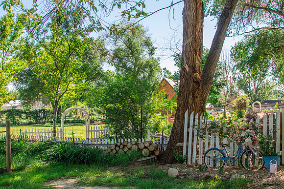 caddymay2021_93