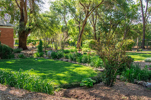 caddymay2021_85