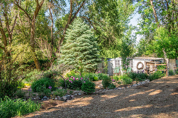 caddymay2021_79