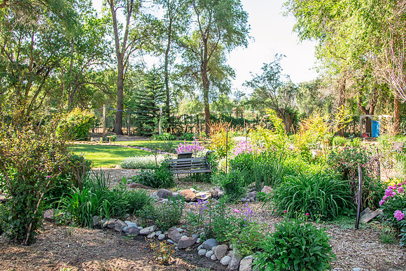 caddymay2021_84