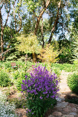 caddymay2021_47