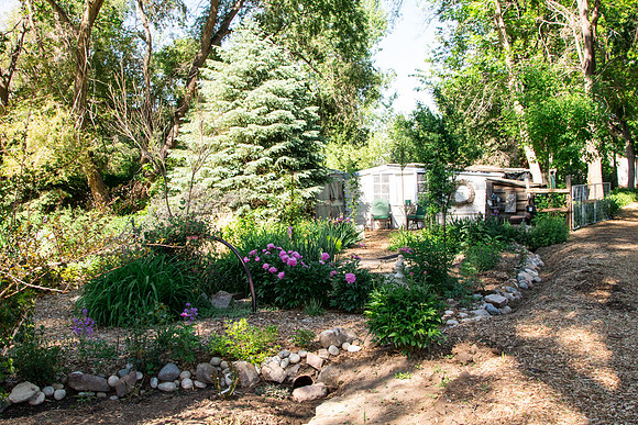 caddymay2021_38