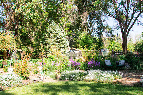 caddymay2021_53