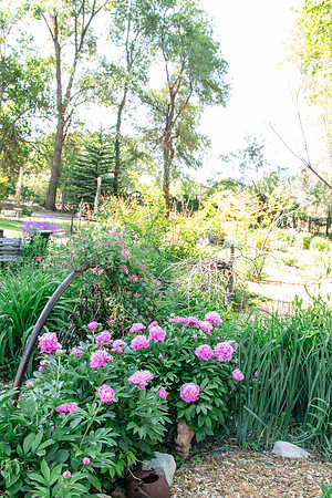 caddymay2021_40