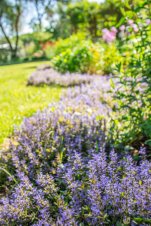 caddymay2021_24