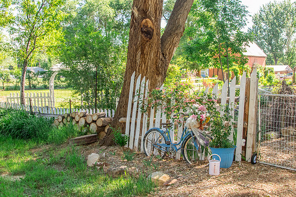 caddymay2021_91