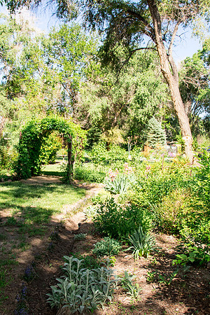 caddymay2021_67