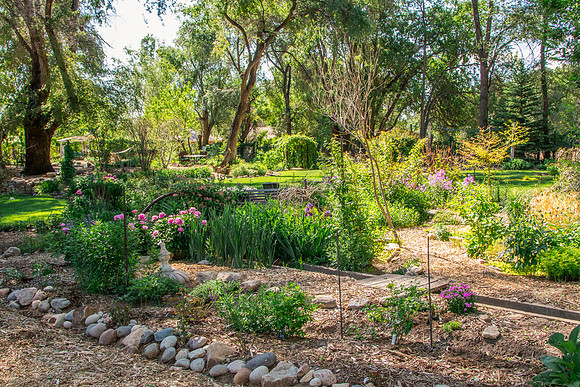 caddymay2021_89
