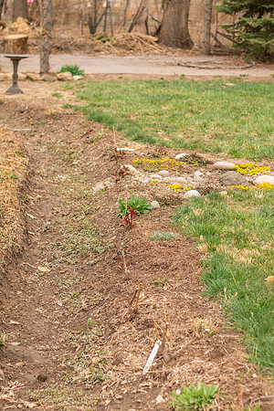 caddyapril2021_56