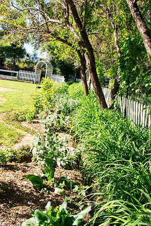 caddymay2021_18