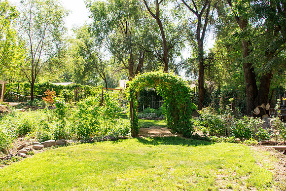 caddymay2021_63