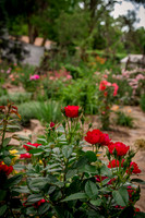 caddyjune20_5