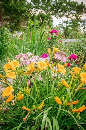caddyjune20_42