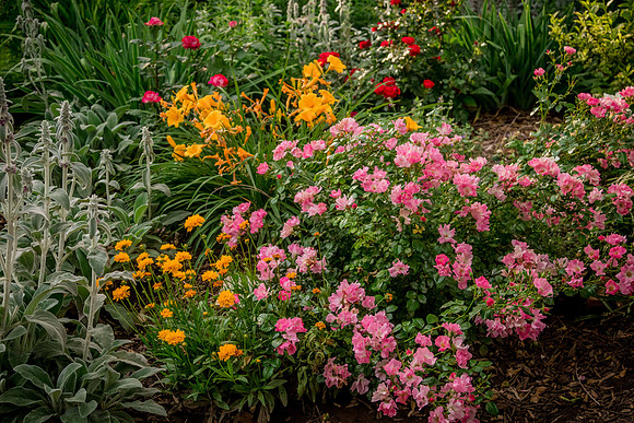 caddyjune20_64