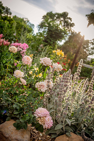 caddyjune20_57