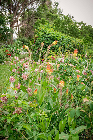 caddyjune20_44