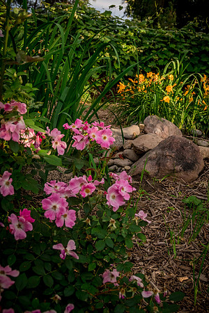caddyjune20_101