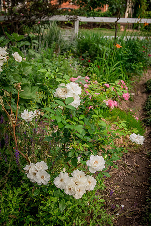 caddyjune20_69