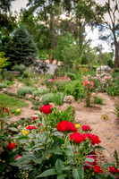 caddyjune20_4