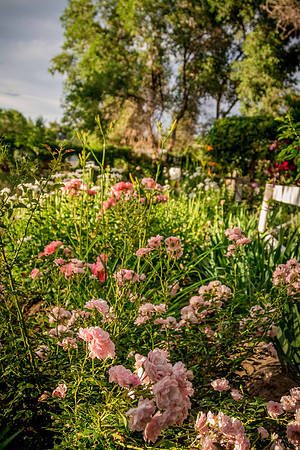 caddyjune20_84